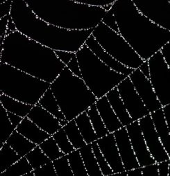 What spooks the InfoSec professional?
